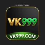 VK 999 Game
